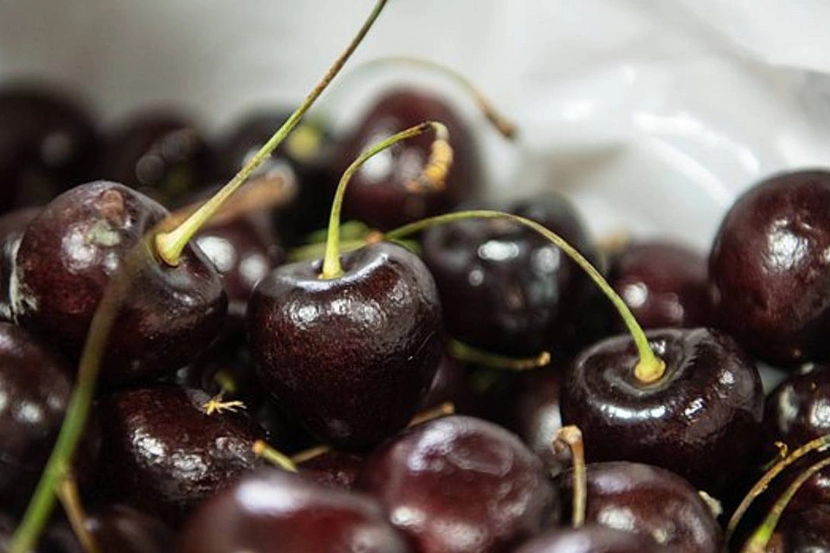 Doctor named the acceptable portion of cherries per day Doctor named the acceptable portion of cherries per day