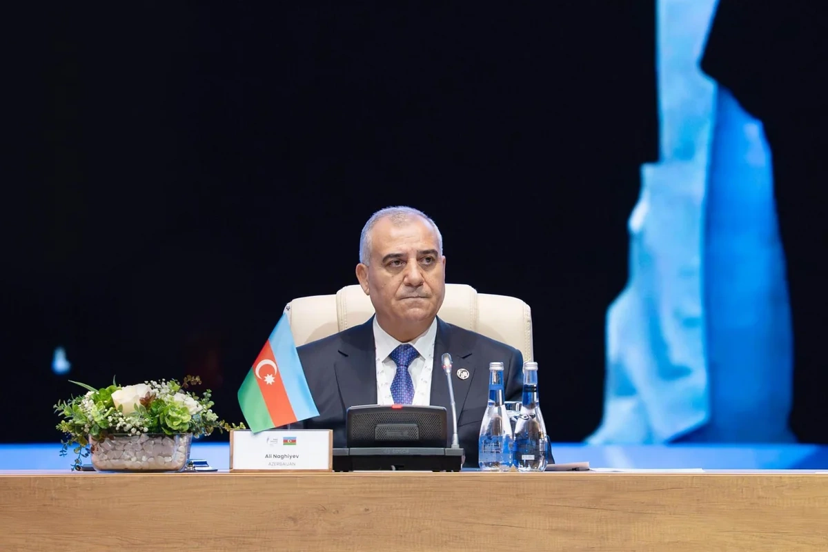 Əli Nağıyev: Beynəlxalq təhlükəsizlikdə ənənəvi mexanizmlər yeni təhdidlərə çevik cavab verə bilmir