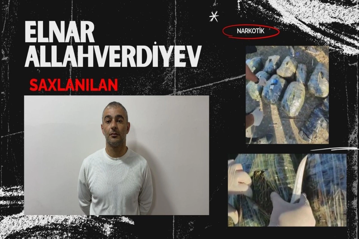 Qaxda 19 kq narkotik dövriyyədən çıxarılıb