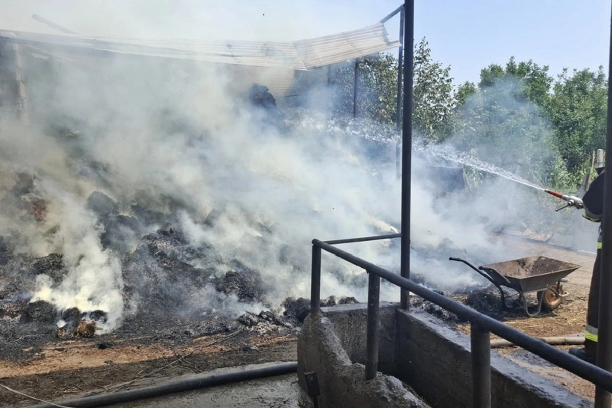Şərurda 16.5 ton ot bağlaması yanıb Şərurda 16.5 ton ot bağlaması yanıb