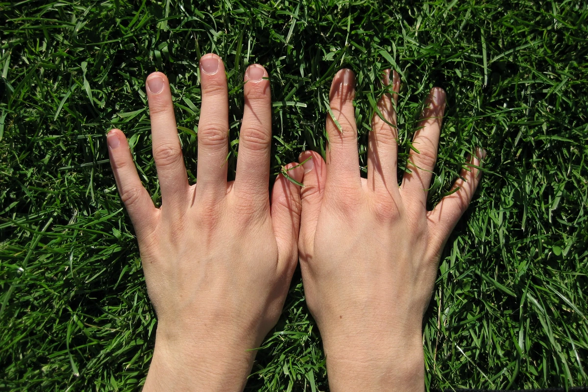 Scientists stunned by the solution to the mystery of the origin of fingers in humans Scientists stunned by the solution to the mystery of the origin of fingers in humans