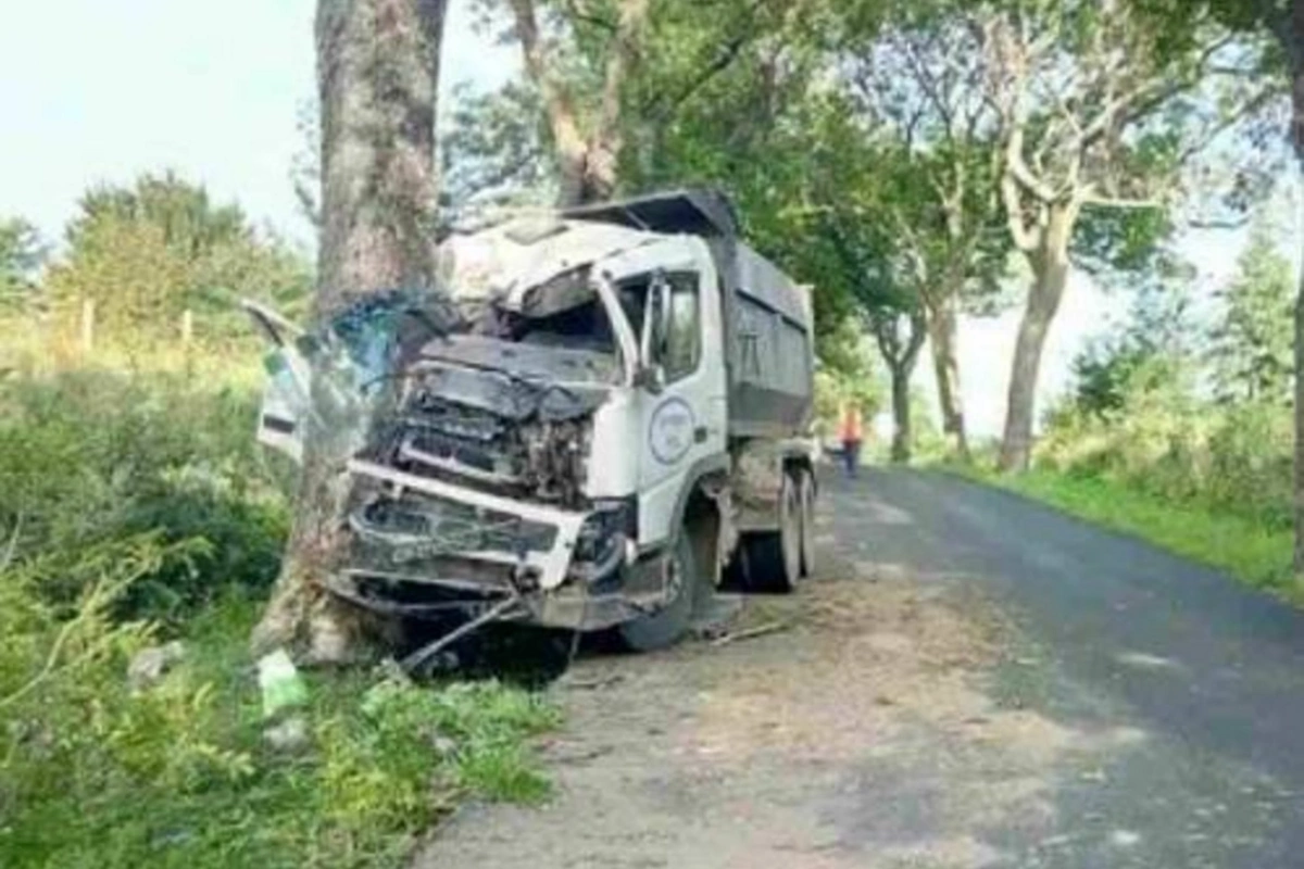 Şəmkirdə yük maşını ağaca çırpılıb, ölən var