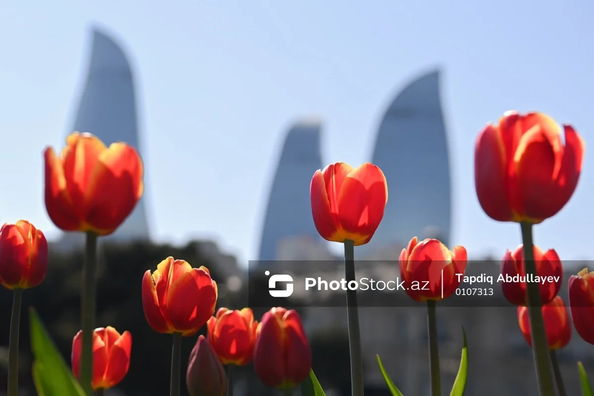 Yazın gəlişi hamı üçün sevinc demək deyil - XƏBƏRDARLIQ