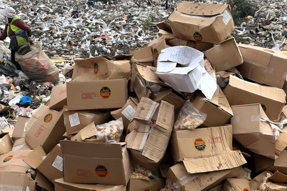 İordaniyadan Azərbaycana idxal olunan pendirdə zərərli bakteriyalar aşkarlanıb