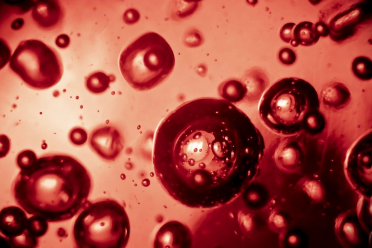 The only blood type that carries the code of life