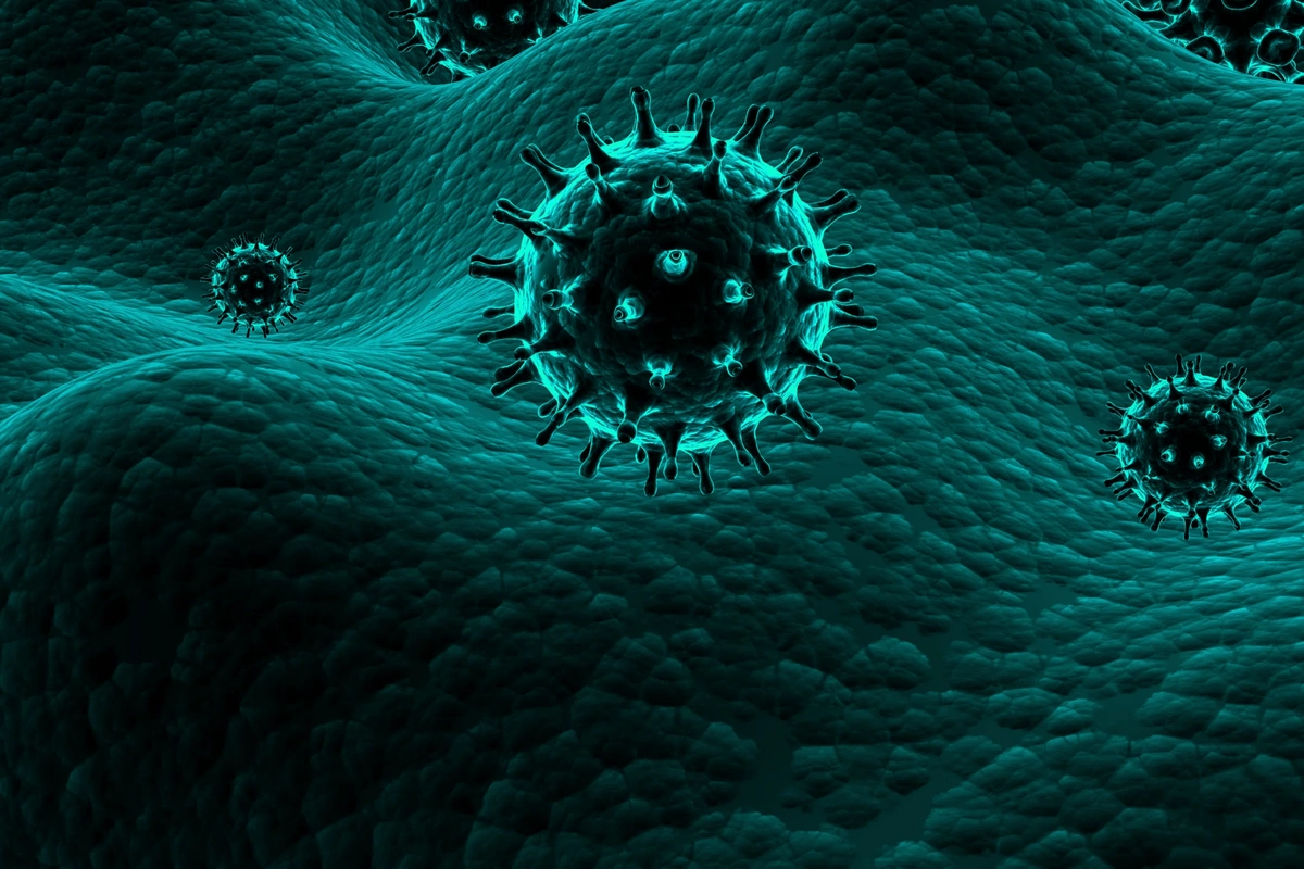 Deadly virus has reached the United Kingdom Deadly virus has reached the United Kingdom