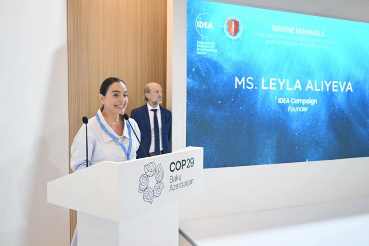 Leyla Əliyeva COP29 çərçivəsində dəniz canlılarına dair panel müzakirələrində iştirak edib Leyla Əliyeva COP29 çərçivəsində dəniz canlılarına dair panel müzakirələrində iştirak edib