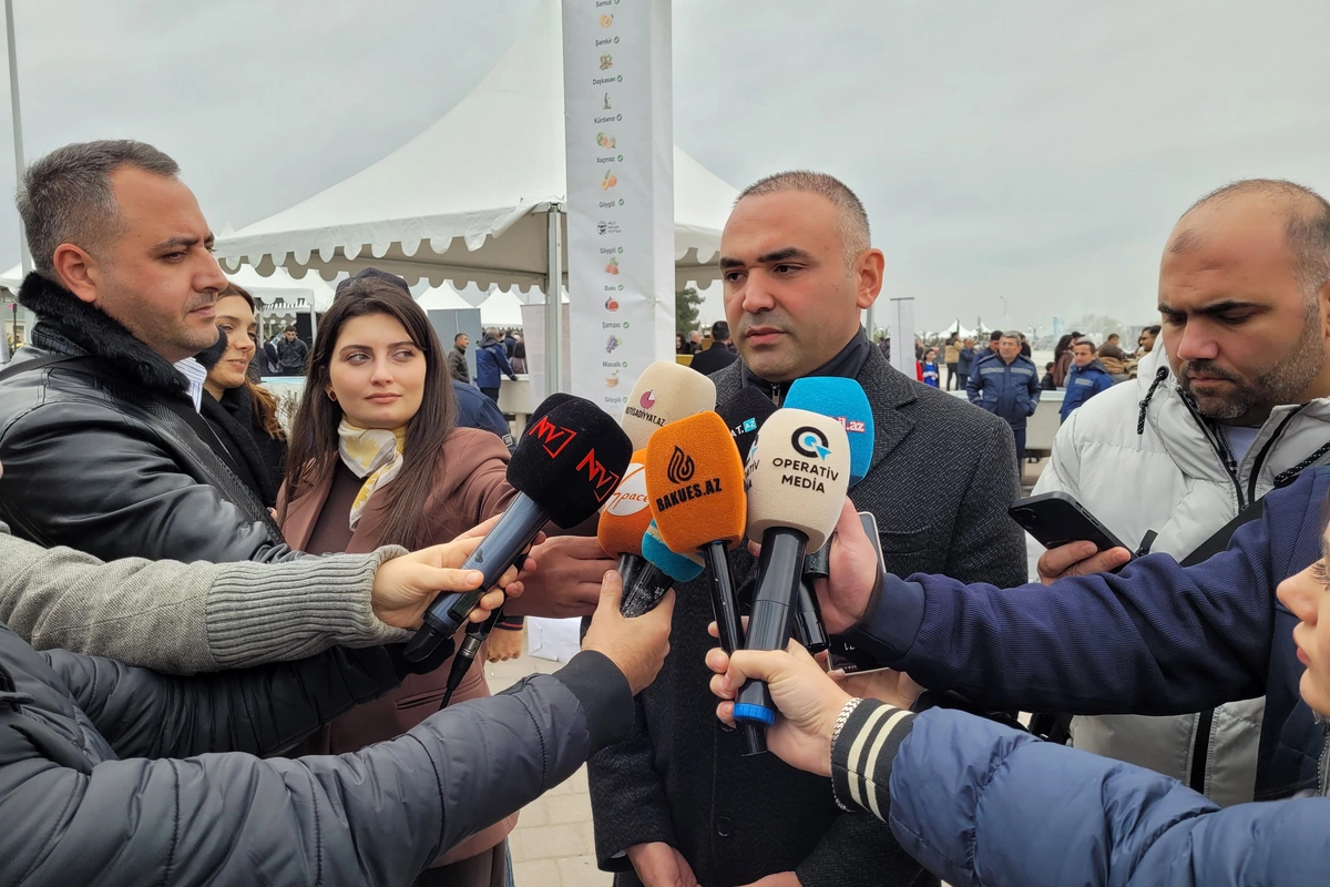 Bu festivallar vasitəsilə bölgələrdə emal müəssisələrinin yaradılmasını təşviq edirik - Anar Cəfərov