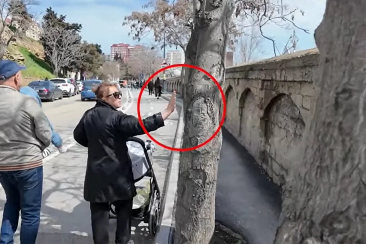 İnsanların problemdən qurtula bilmədiyi prospekt: Dirək və ağaclar səkini keçilməz edib