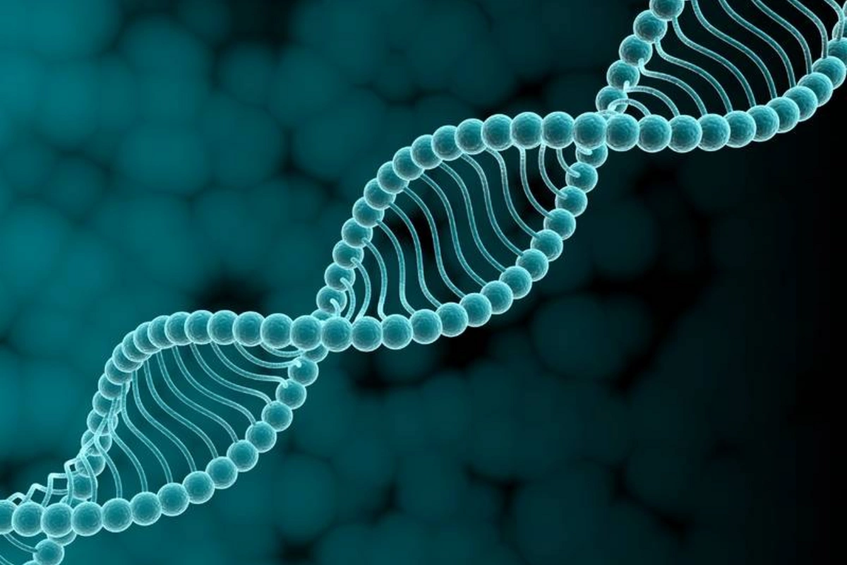 It became known what affects aging more than genes