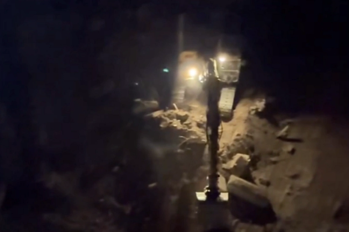 В Баку компания вырубила деревья - расследованием займется Генпрокуратура