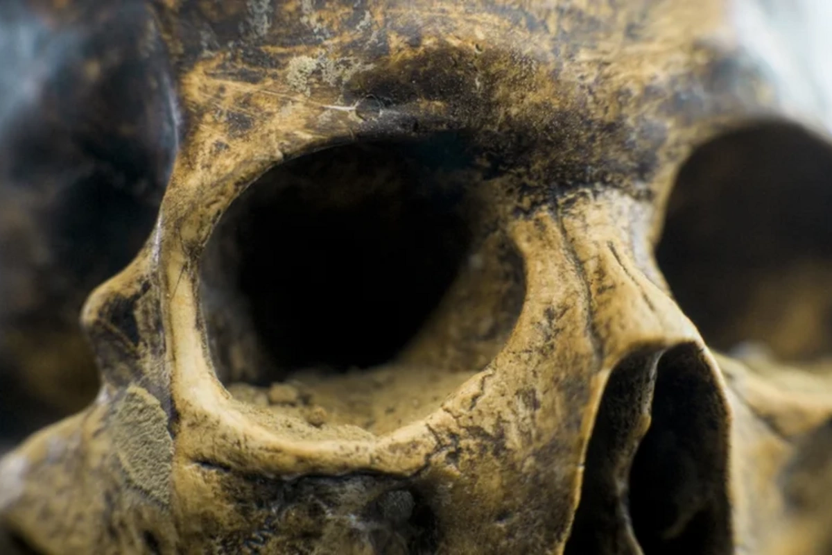 Skull of unknown ancient human species found in China