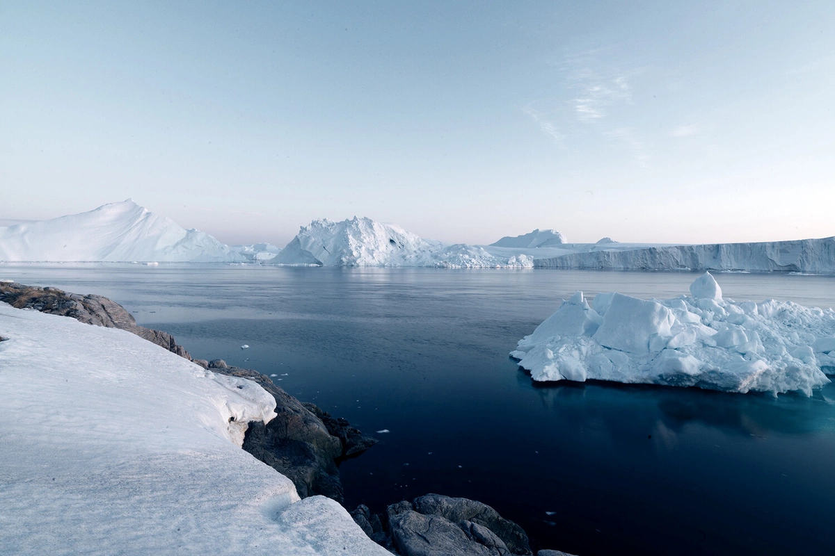 In Antarctica, a shark has been spotted for the first time