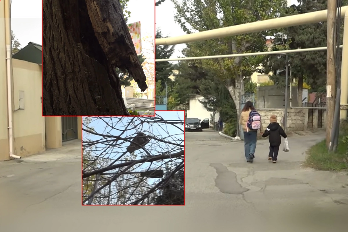 6-cı mikrorayon sakinlərini bezdirən PROBLEM