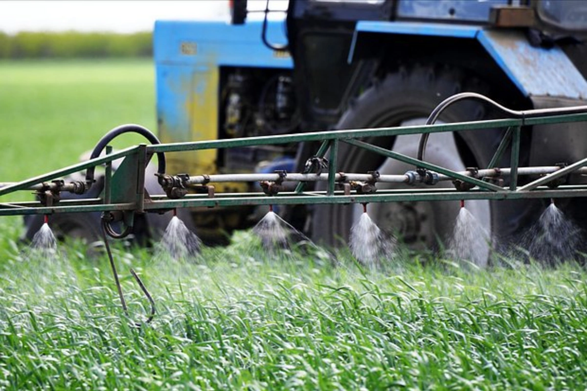 Xərçəng riskini artıran gizli səbəb aşkarlandı