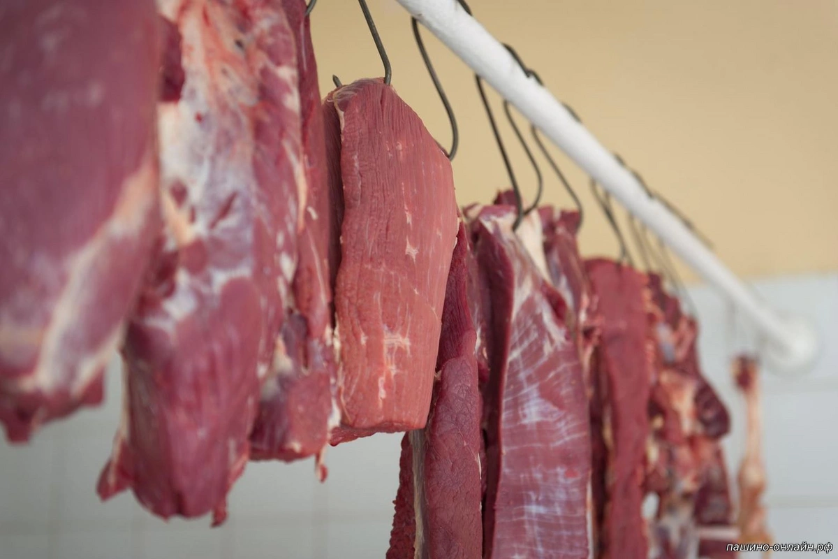 Совместная операция МВД и АПБА: в Баку обнаружена тонна опасной конины