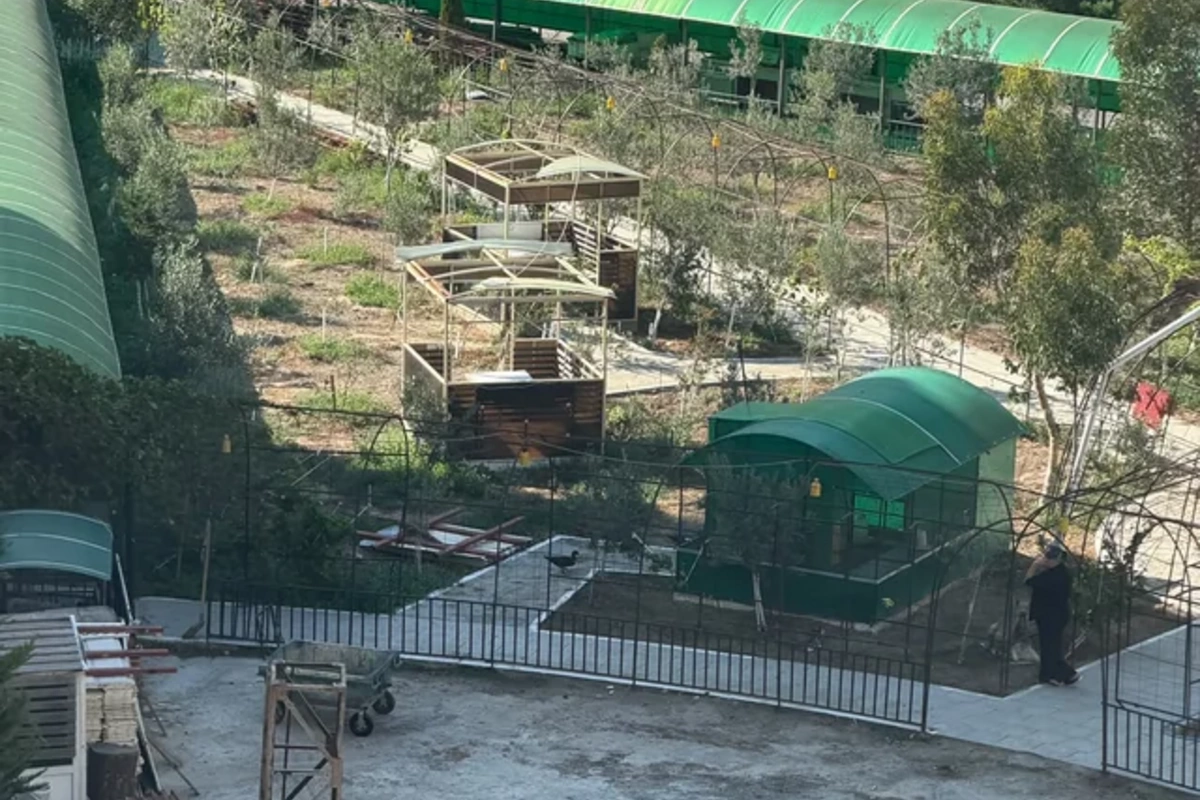 Bəy Mamed hasarladığı həyəti istirahət parkına çevirir