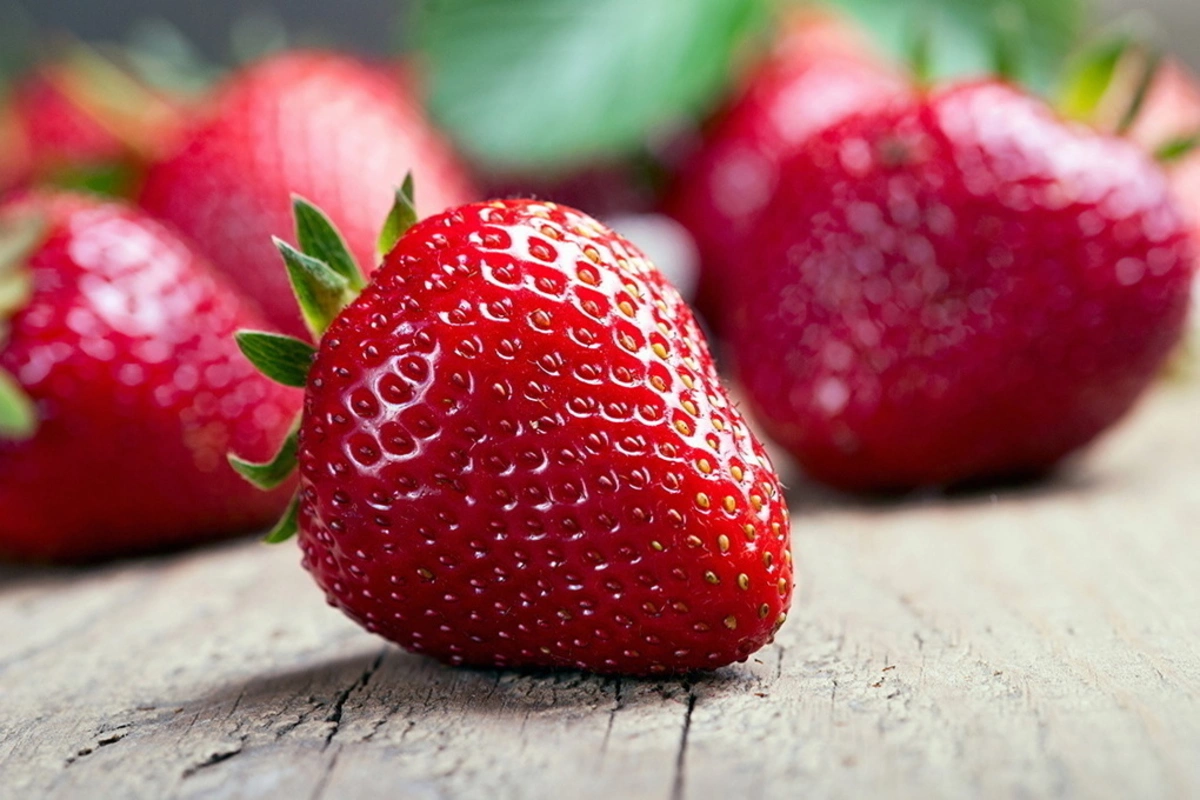 What makes May strawberries dangerous? What makes May strawberries dangerous?