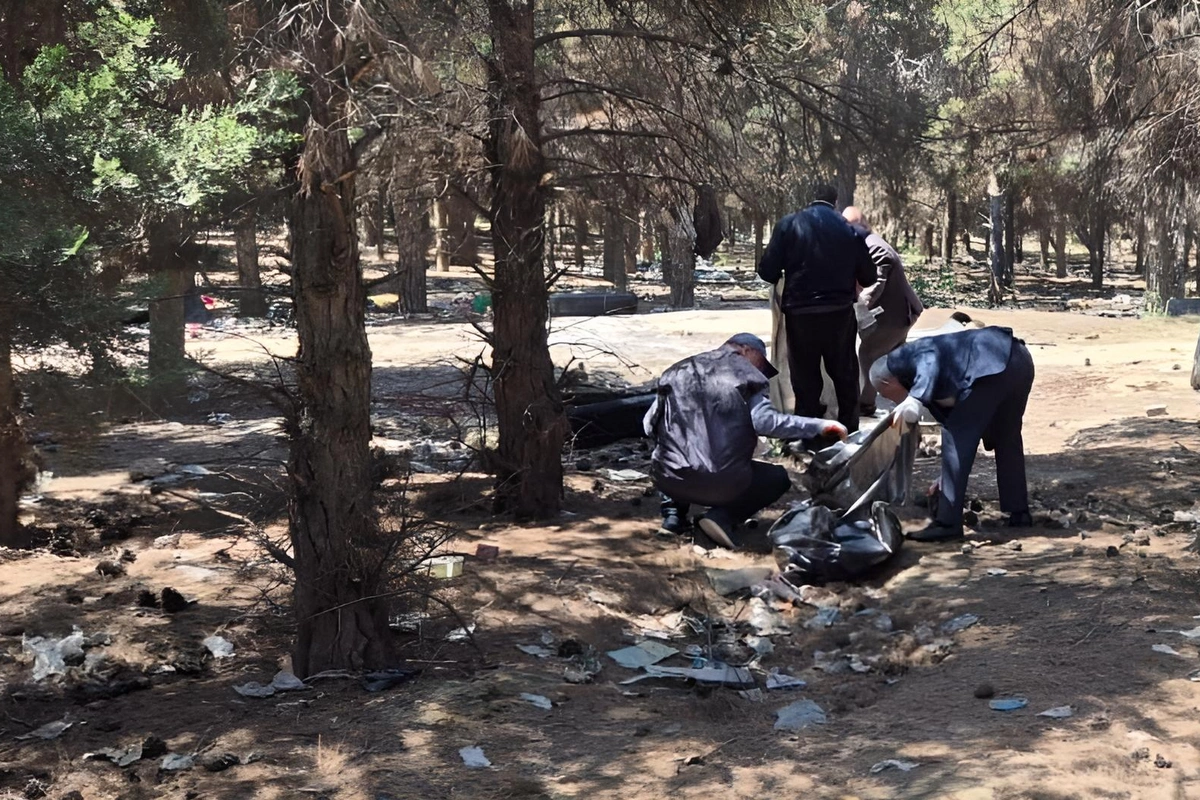 Abşeronda 64 ağacın məhv edildiyi yaşıllıq sahəsi bərpa olunub