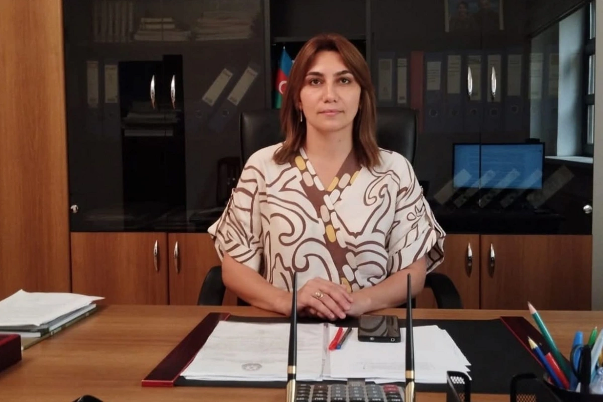 Masallı Rayon İcra Hakimiyyətində YENİ TƏYİNAT Masallı Rayon İcra Hakimiyyətində YENİ TƏYİNAT