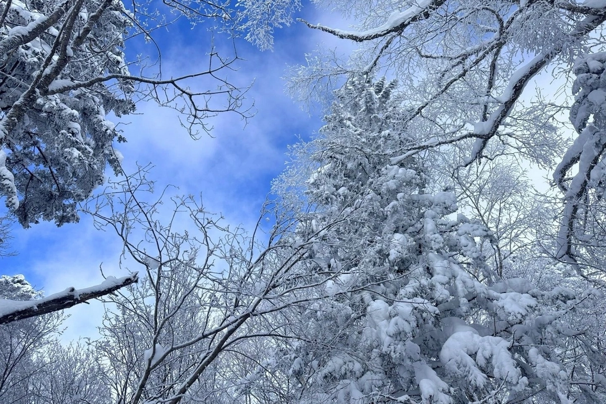 Kəlbəcər, Laçın, Qubadlı, Zaqatala və Şahdağa qar yağır - FAKTİKİ HAVA