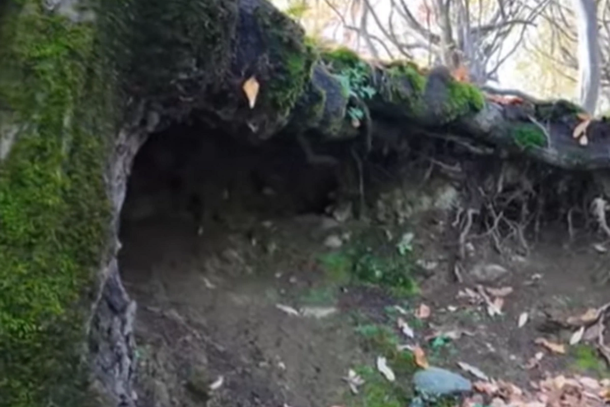 Babək qalası adlandırılan QƏDİM TİKİLİDƏ arxeoloji qazıntı işləri aparılacaq?