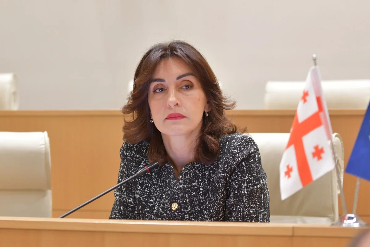Boçorişvili: Tbilisi, Bakı və Ankara əməkdaşlığın dərinləşdirilməsi üçün əhəmiyyətli potensiala malikdir