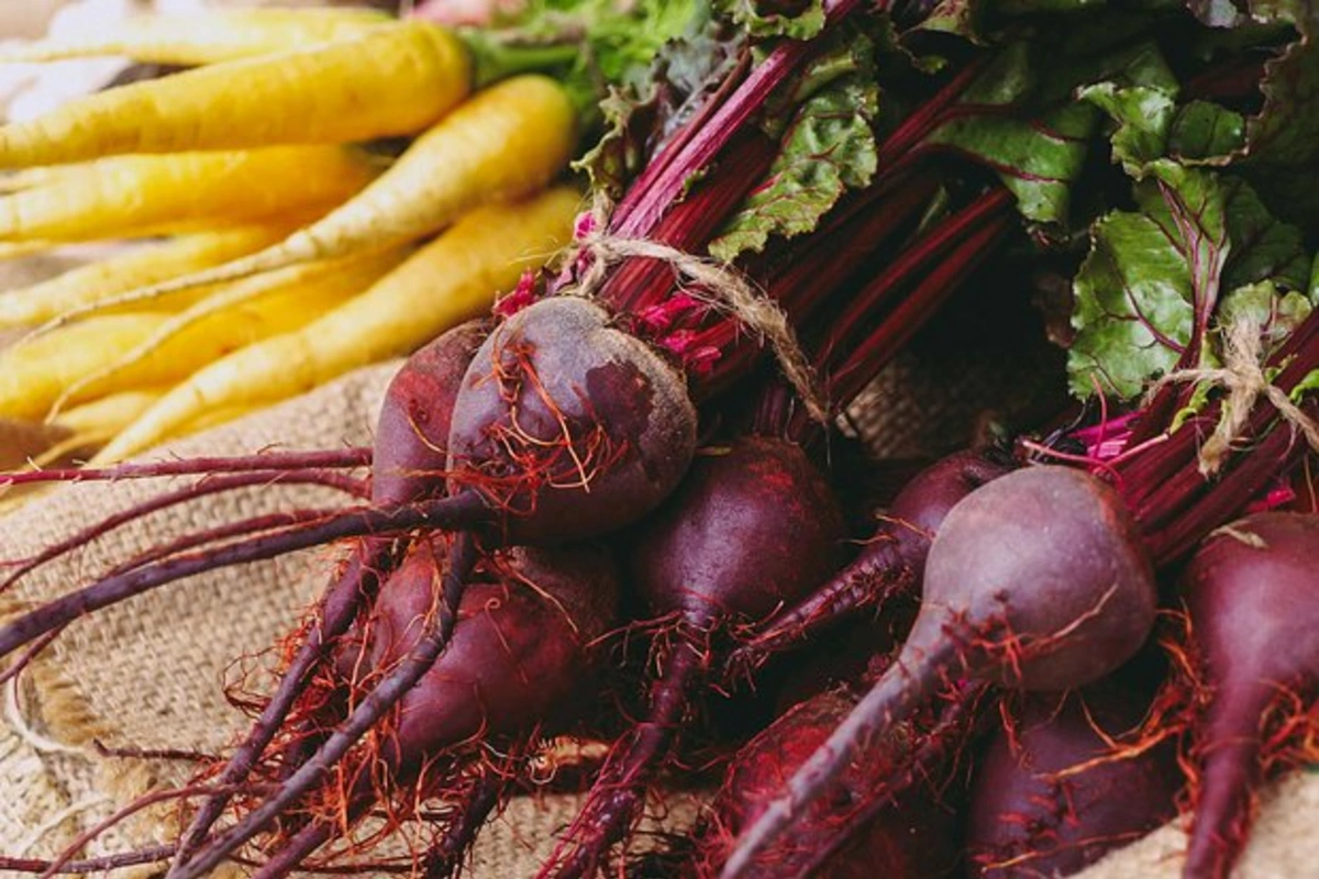 Four compelling reasons to include beetroot in your diet Four compelling reasons to include beetroot in your diet