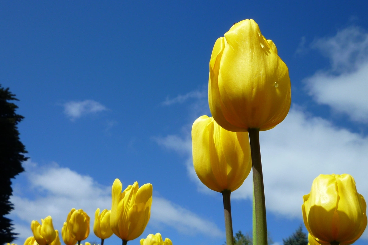 Прогноз погоды в Азербайджане на 10 апреля