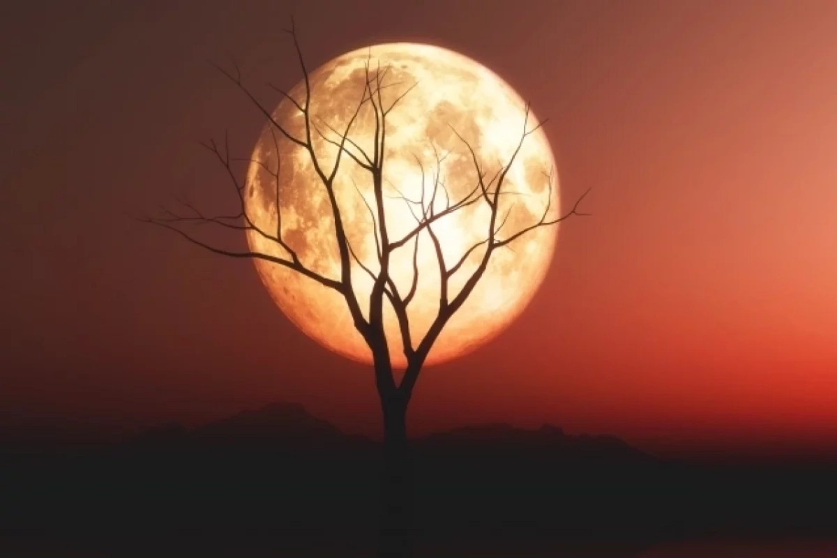 Kanadalı alimdən şok iddia - Yadplanetlilər Ayda gizlənərək Yeri izləyirlər