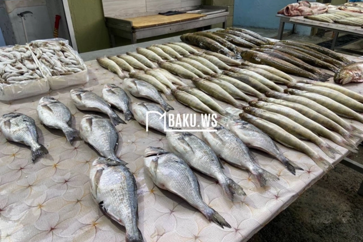Azərbaycandan bu ölkələrə akvakultura məhsulları ixrac edilir - RƏSMİ