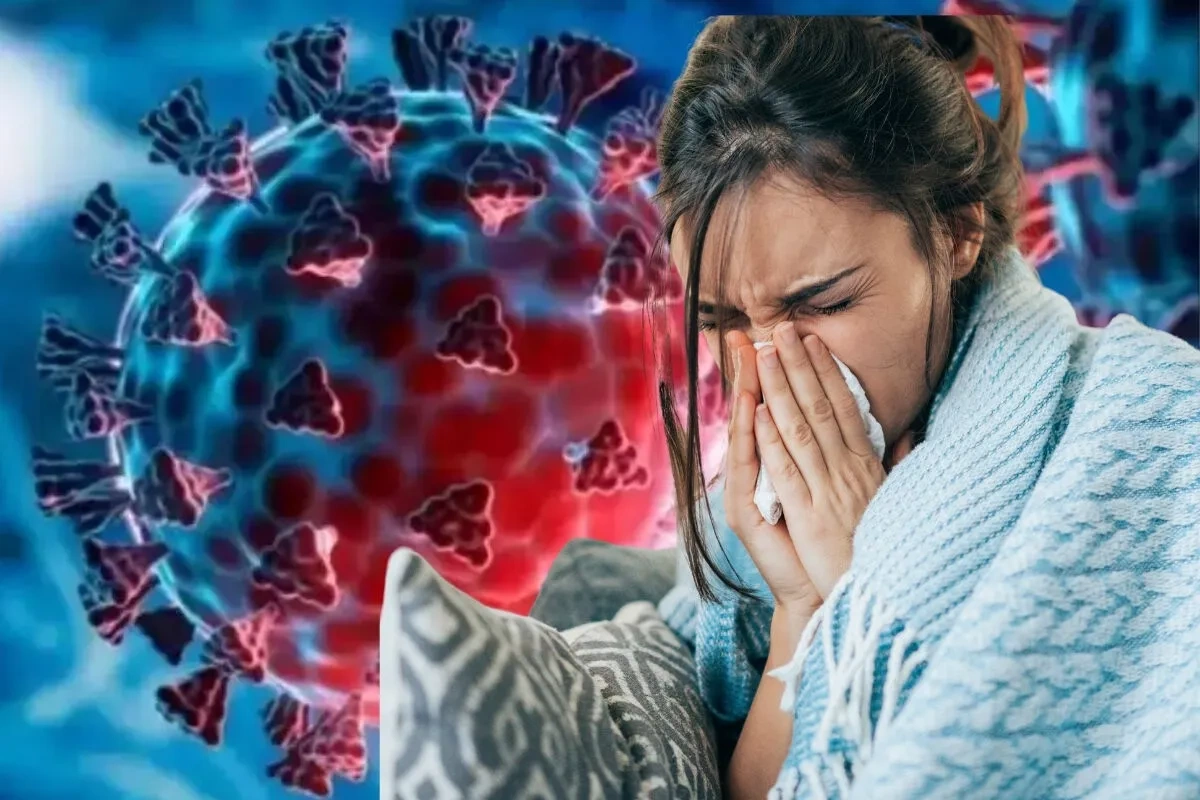 Dünyanı qorxuya salan H3N2 virusu ölkəmizdə də yayıla bilərmi? - AÇIQLAMA