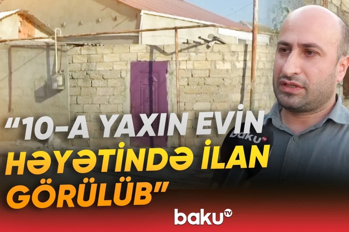 Həyətlərini qurbağalardan sonra ilanlar basan sakinlər təşvişdə