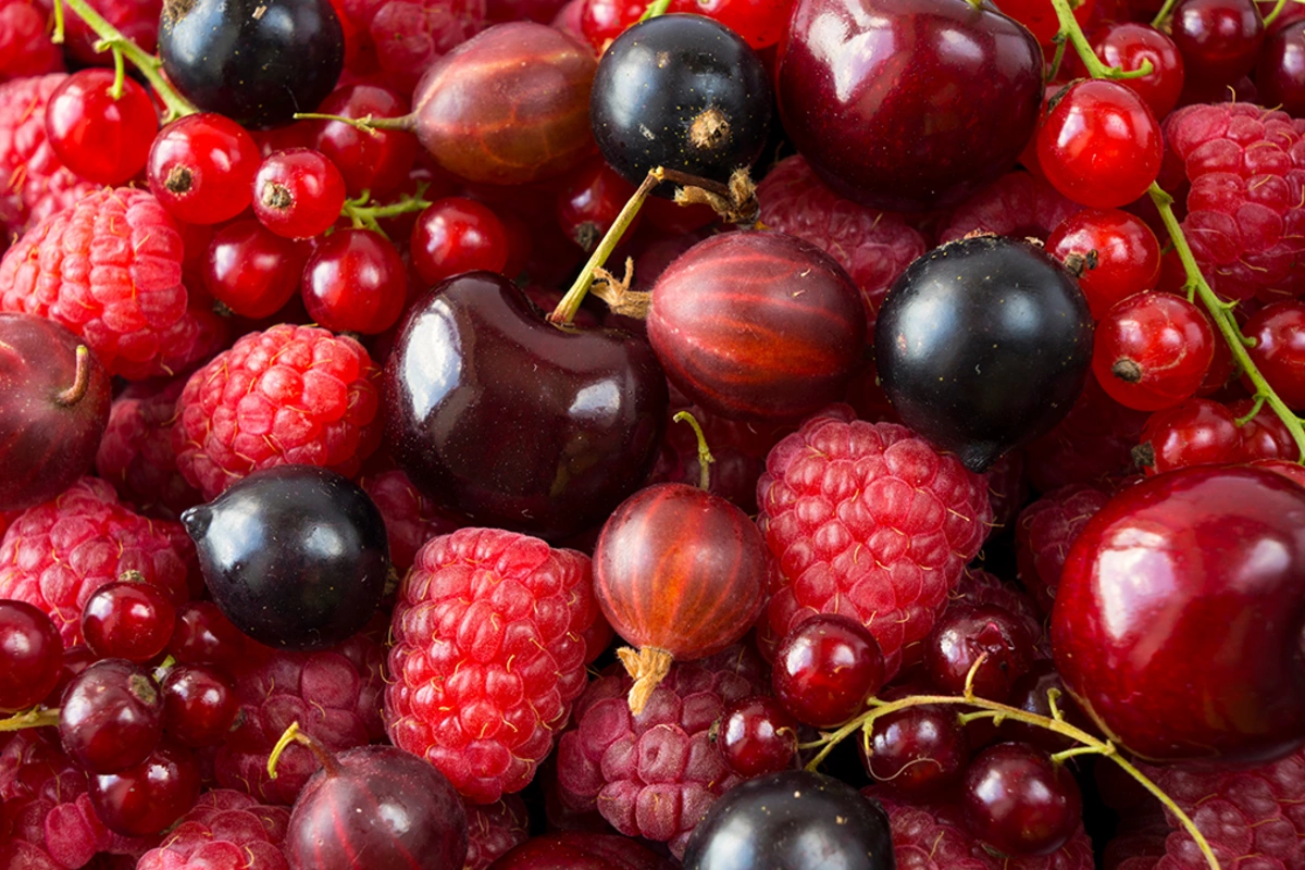 Yay aylarında bu meyvə və giləmeyvələri yemək təhlükəlidir Yay aylarında bu meyvə və giləmeyvələri yemək təhlükəlidir
