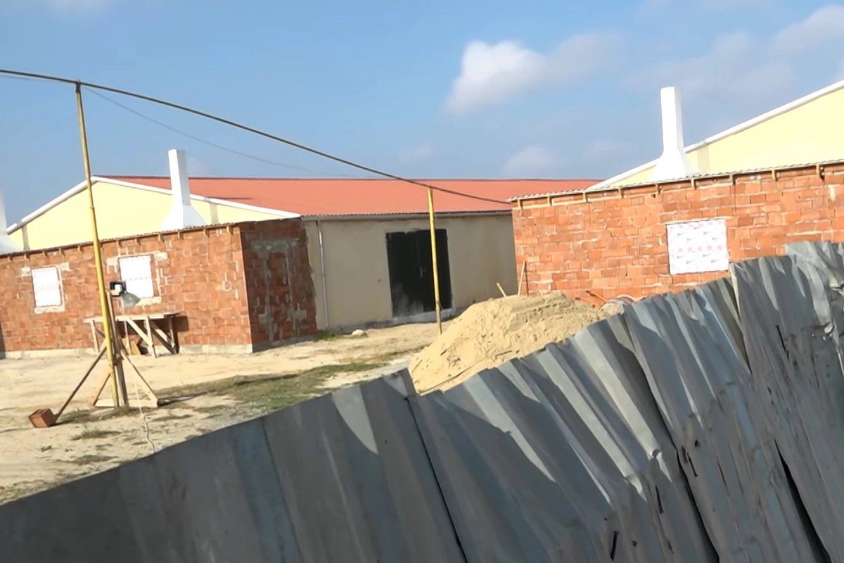 Abşeronda məşhur bağ massivinin sakinlərindən toyuq fermasından ŞİKAYƏT