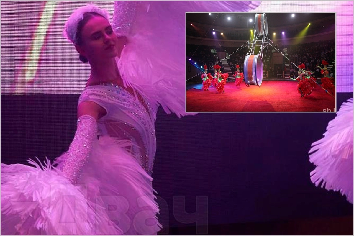 In Russia, a 22-year-old circus performer died during a performance