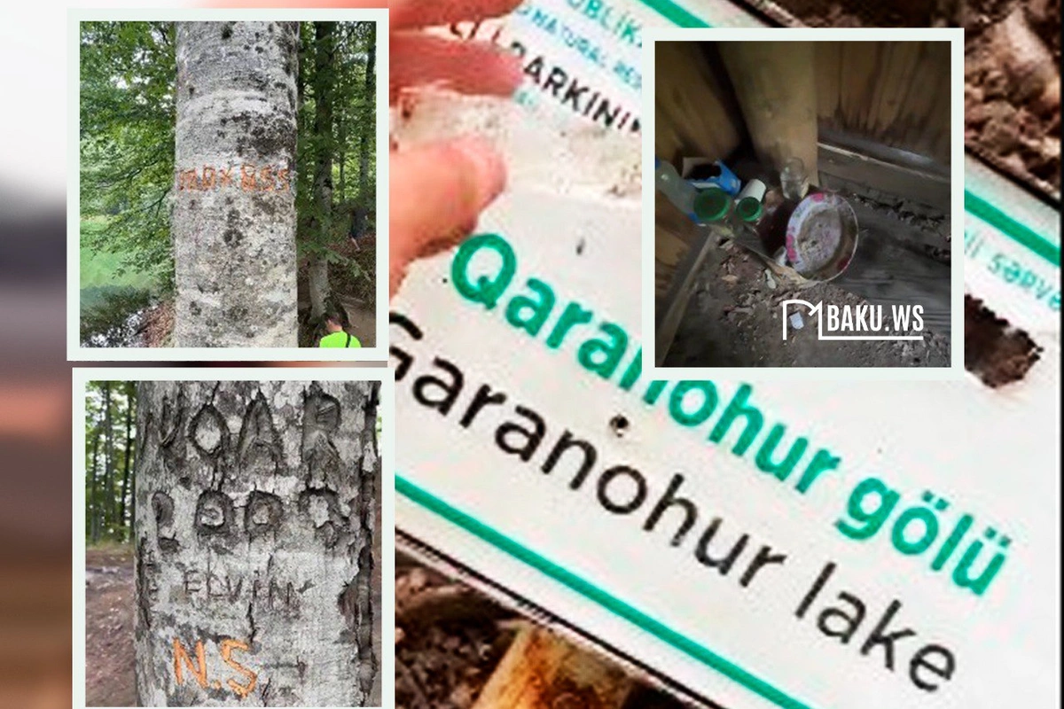 Qaranohur ərazisindəki tullantılar yığışdırılıb Qaranohur ərazisindəki tullantılar yığışdırılıb