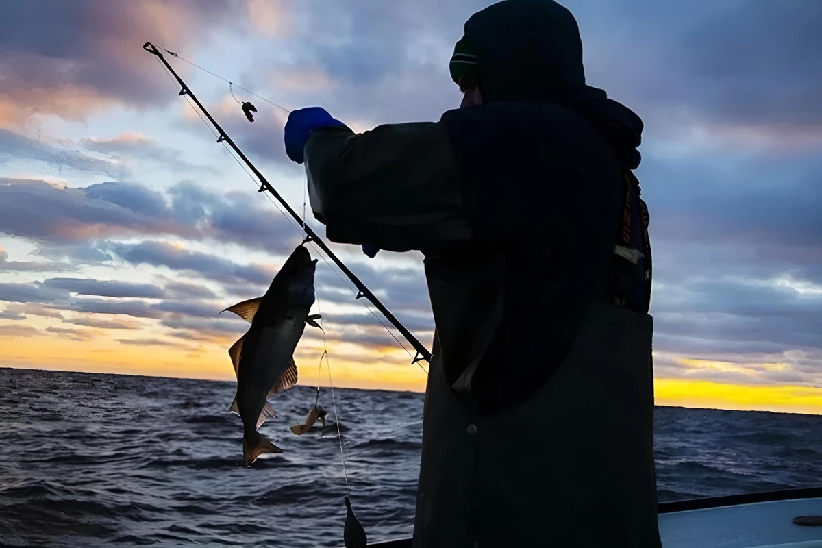 Azərbaycandan Böyük Britaniyaya balıq məhsulları ixrac ediləcək