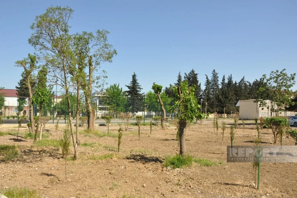 Biləsuvarda yeni park salınıb