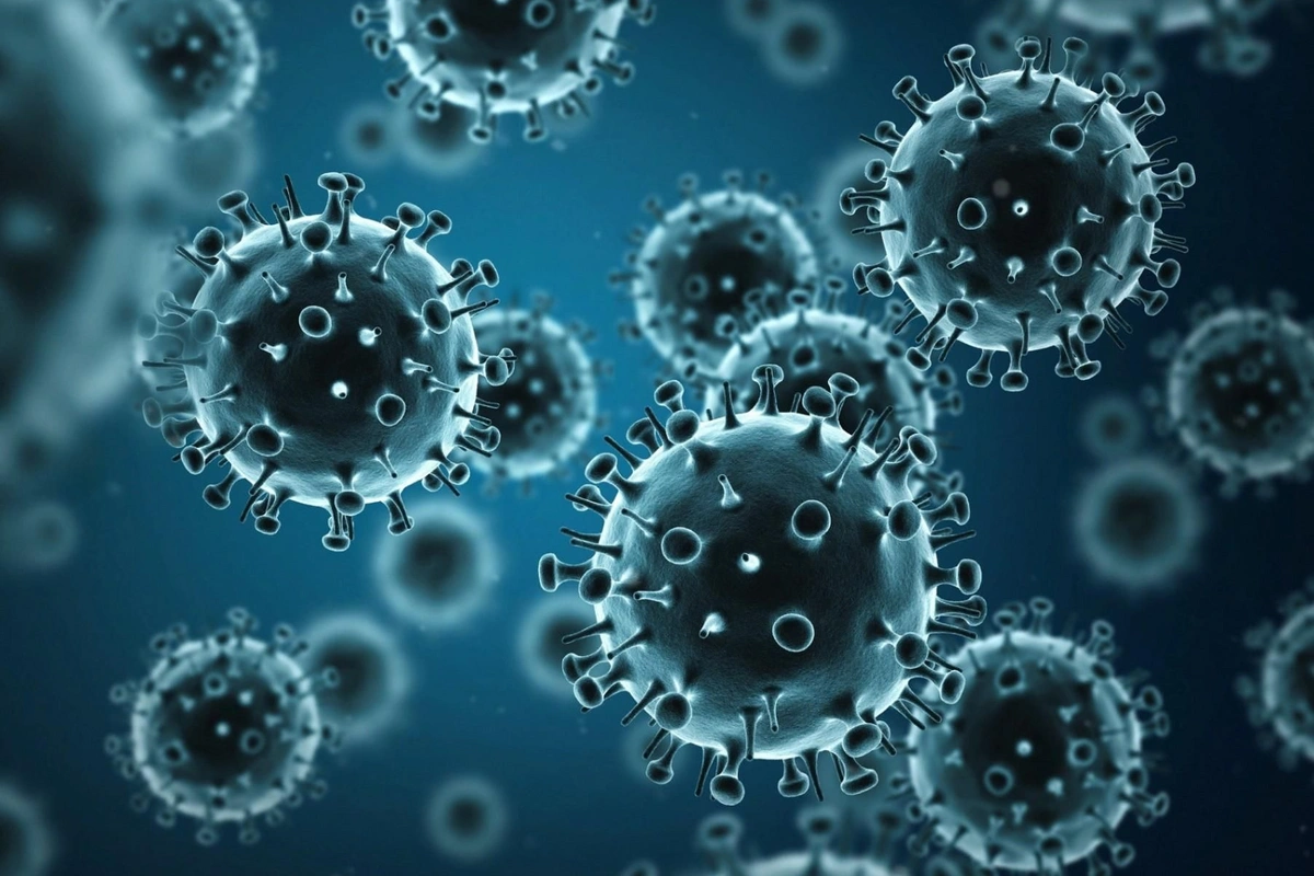 The Most Dangerous Virus for Humanity in 2025 Has Been Named