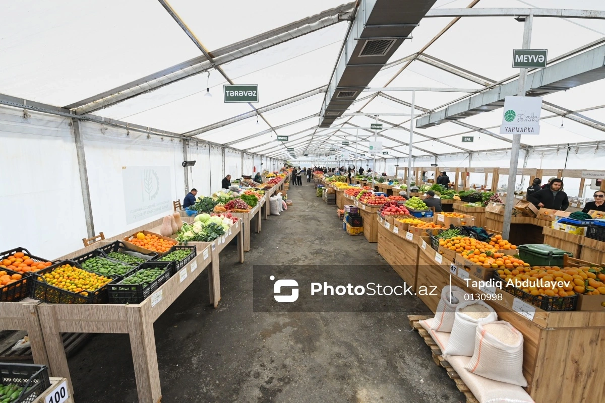 Qayda və qazanc arasında qalan sahibkarlar