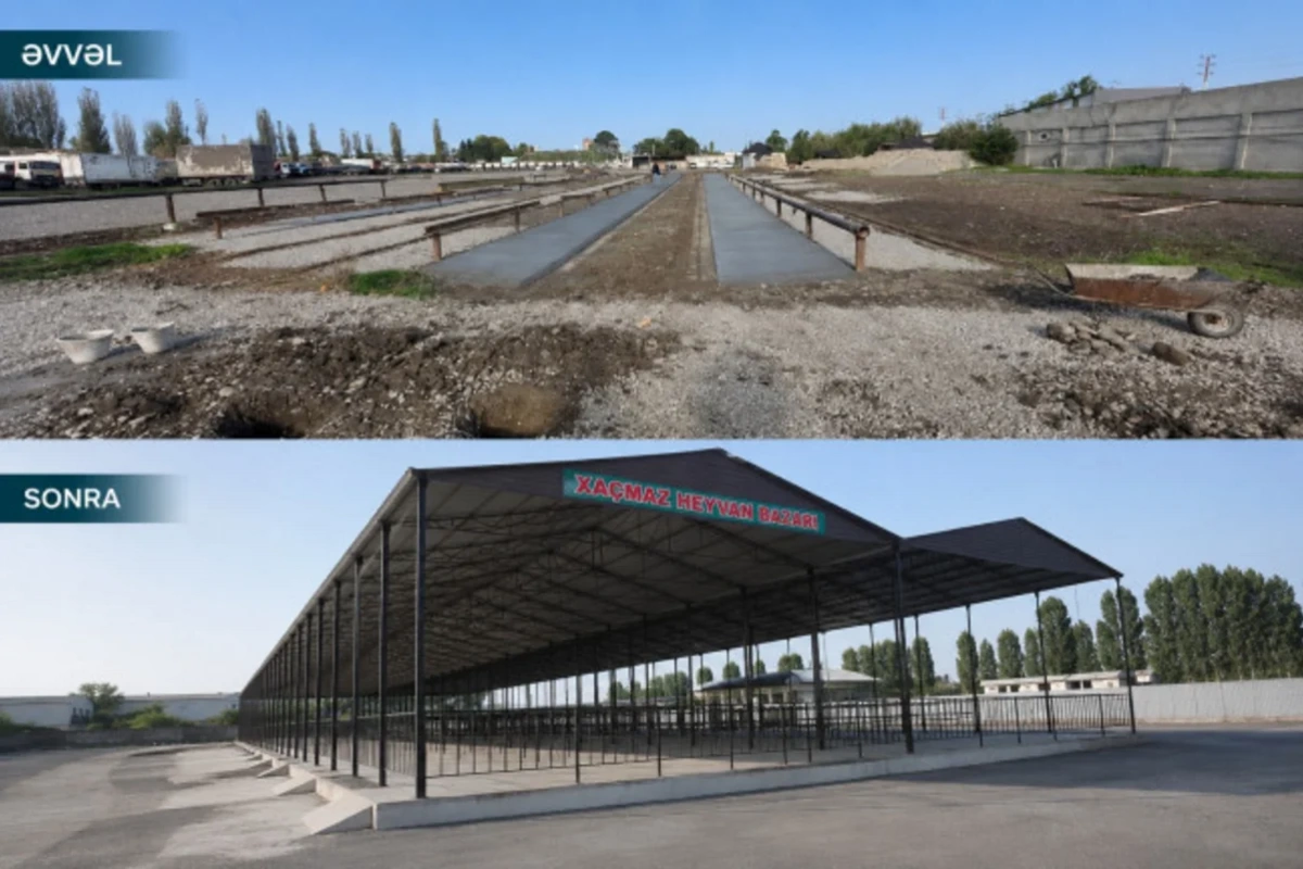 Xaçmazda heyvan bazarı fəaliyyətə başlayıb