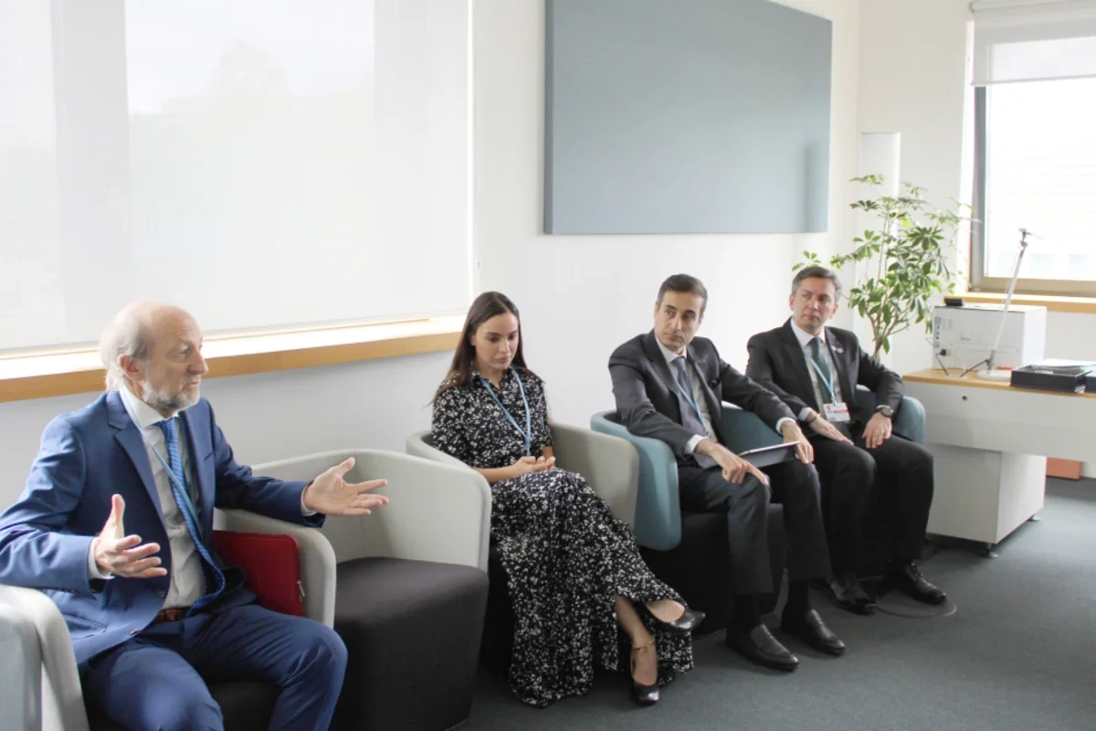 Leyla Aliyeva held a meeting with the Executive Secretary of the UNFCCC
