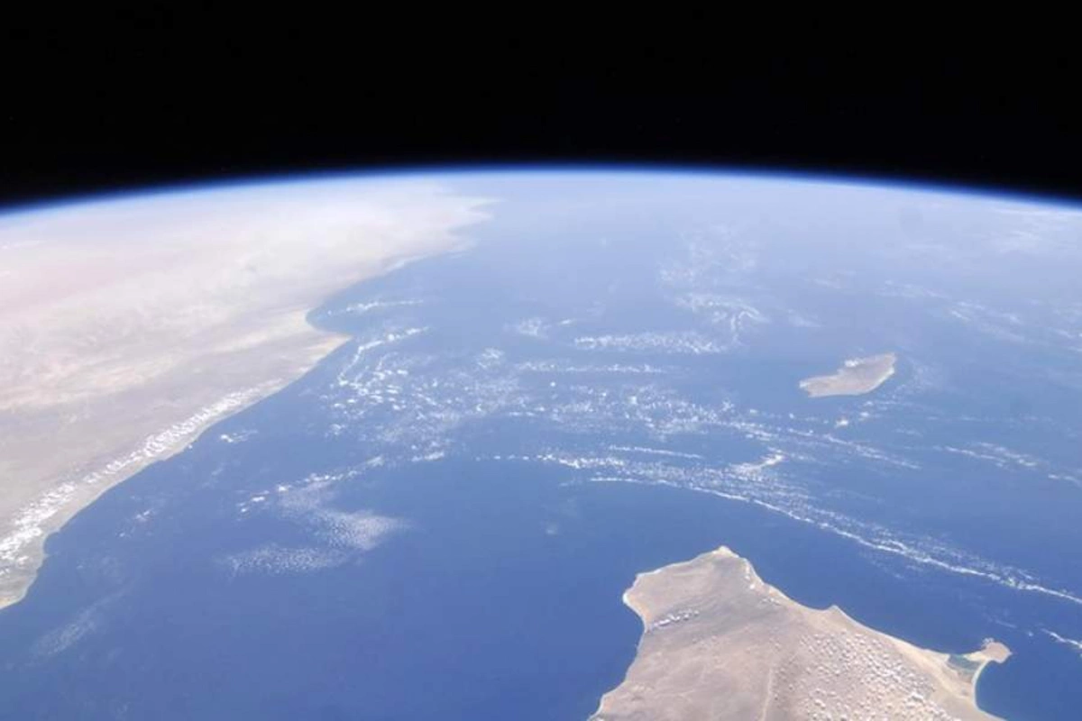 Giant life form visible from space detected in the ocean Giant life form visible from space detected in the ocean