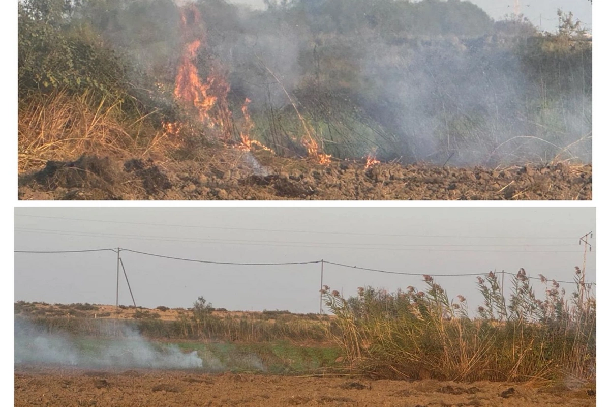 Zərdabda yanğın törədən şəxs məsuliyyətə cəlb olunub