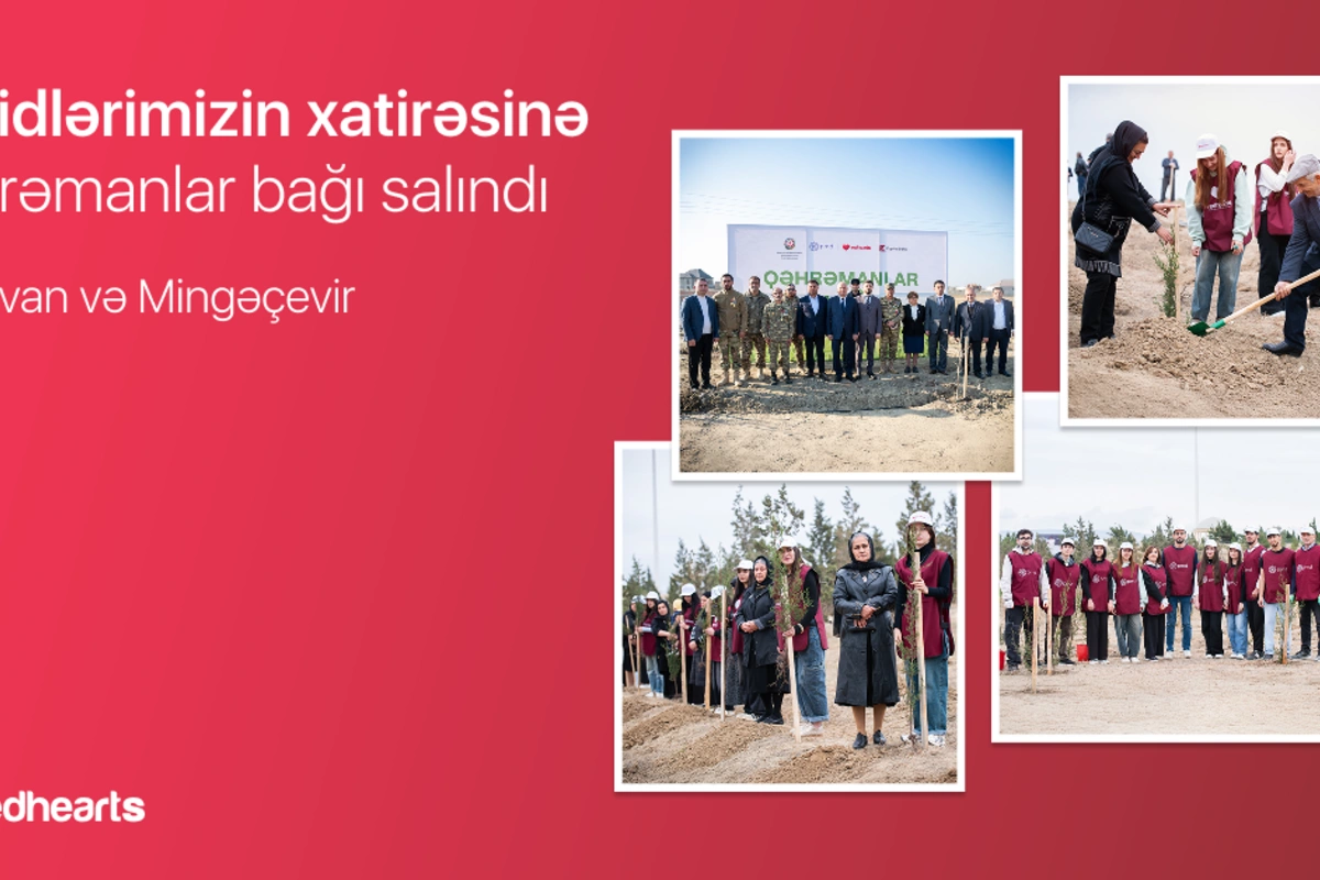 Qəhrəmanlar bağı layihəsi: Şəhidlərin xatirəsinə 543 ağac əkildi