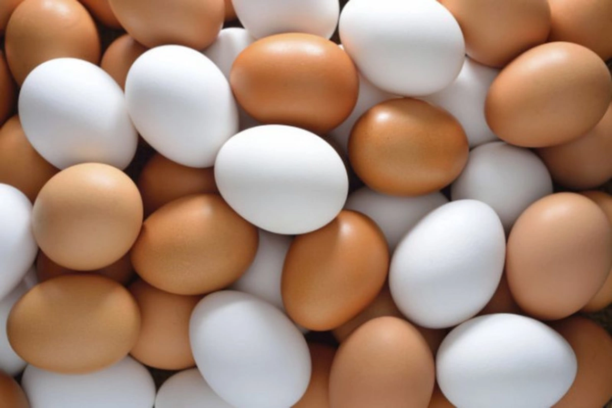 AQTA: Mağazalardakı bir qəpiklik yumurtalarda uyğunsuzluq aşkarlanmayıb