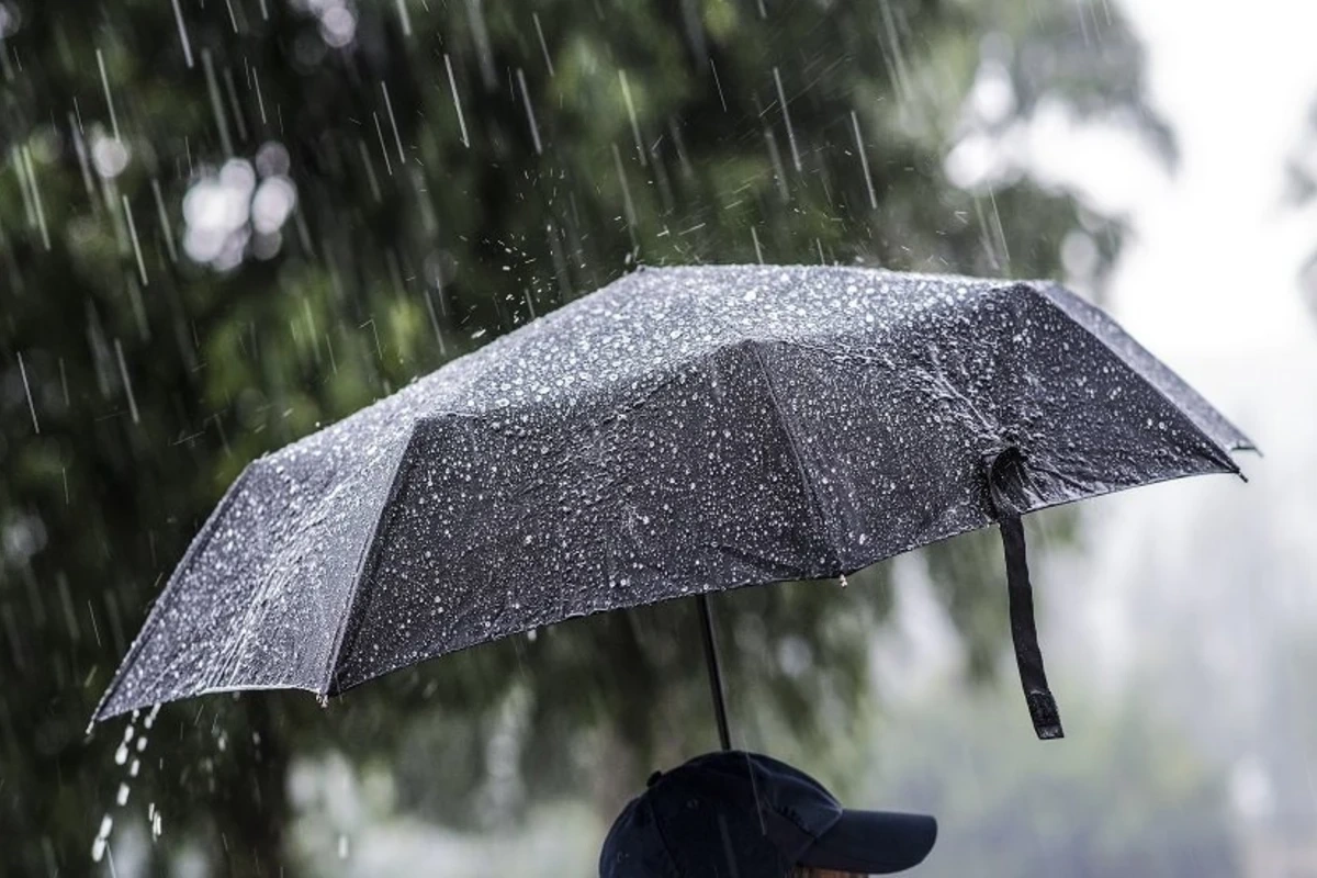 Tomorrow, heavy rain and strong wind are expected
