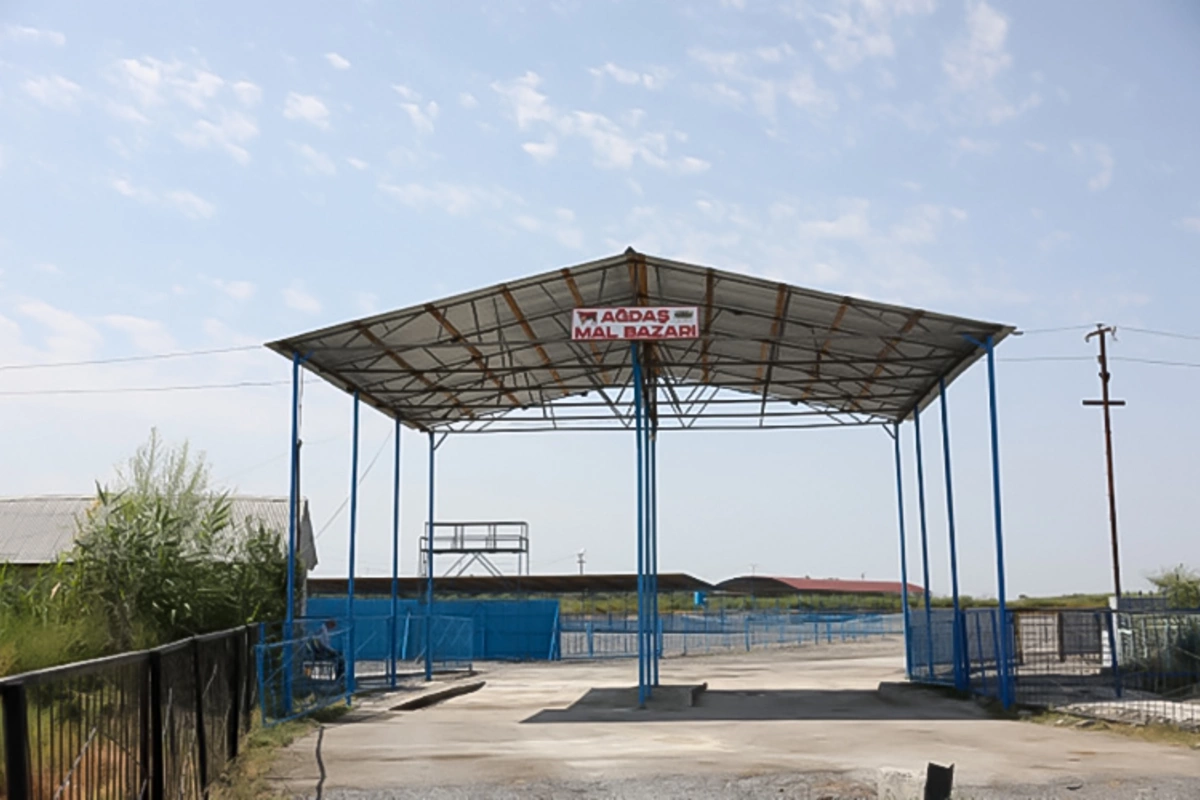 Ağdaş heyvan satışı bazarı fəaliyyətə başlayıb