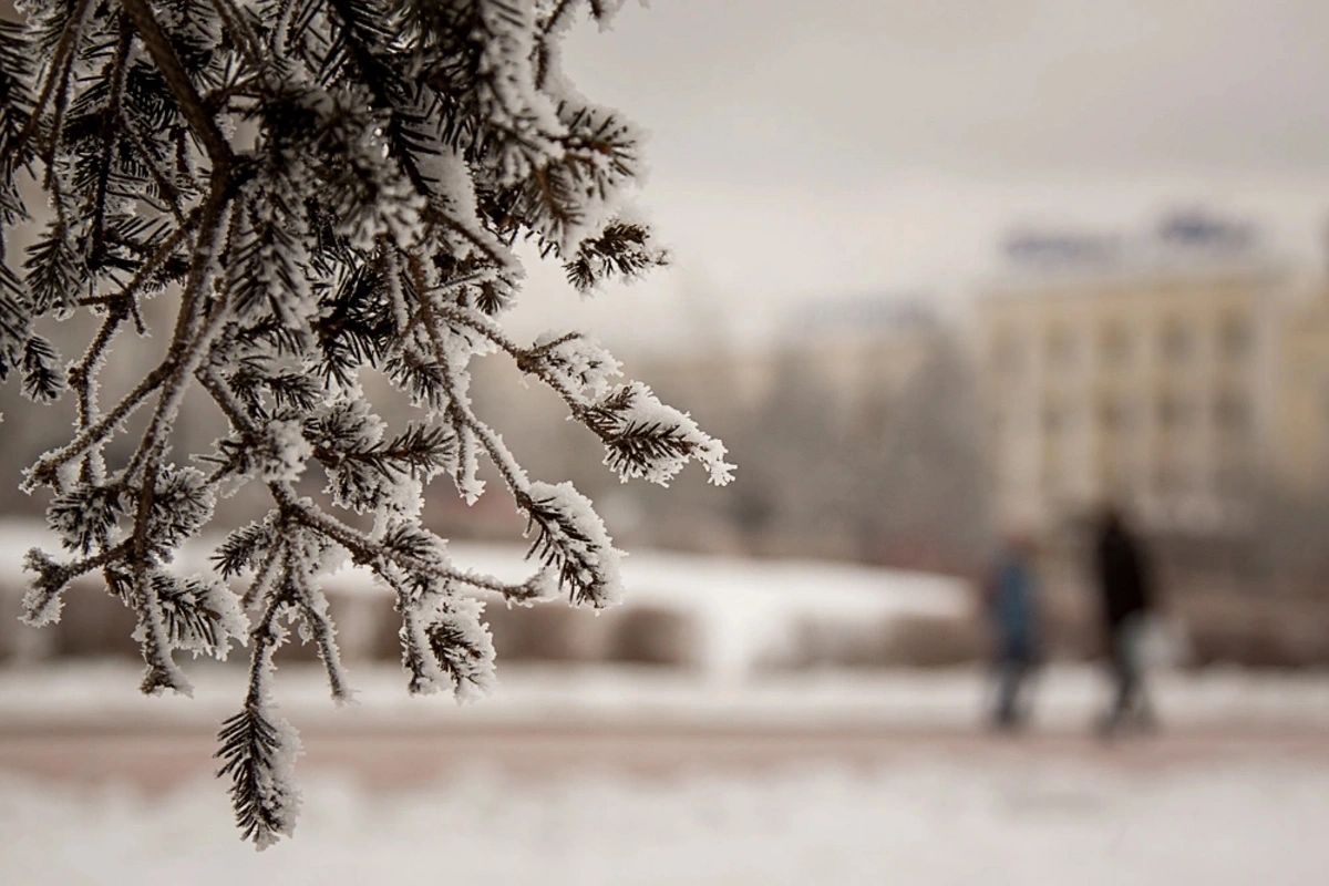 Lənkəran-Astara zonasına leysan, dağlara qar yağdı - FAKTİKİ HAVA